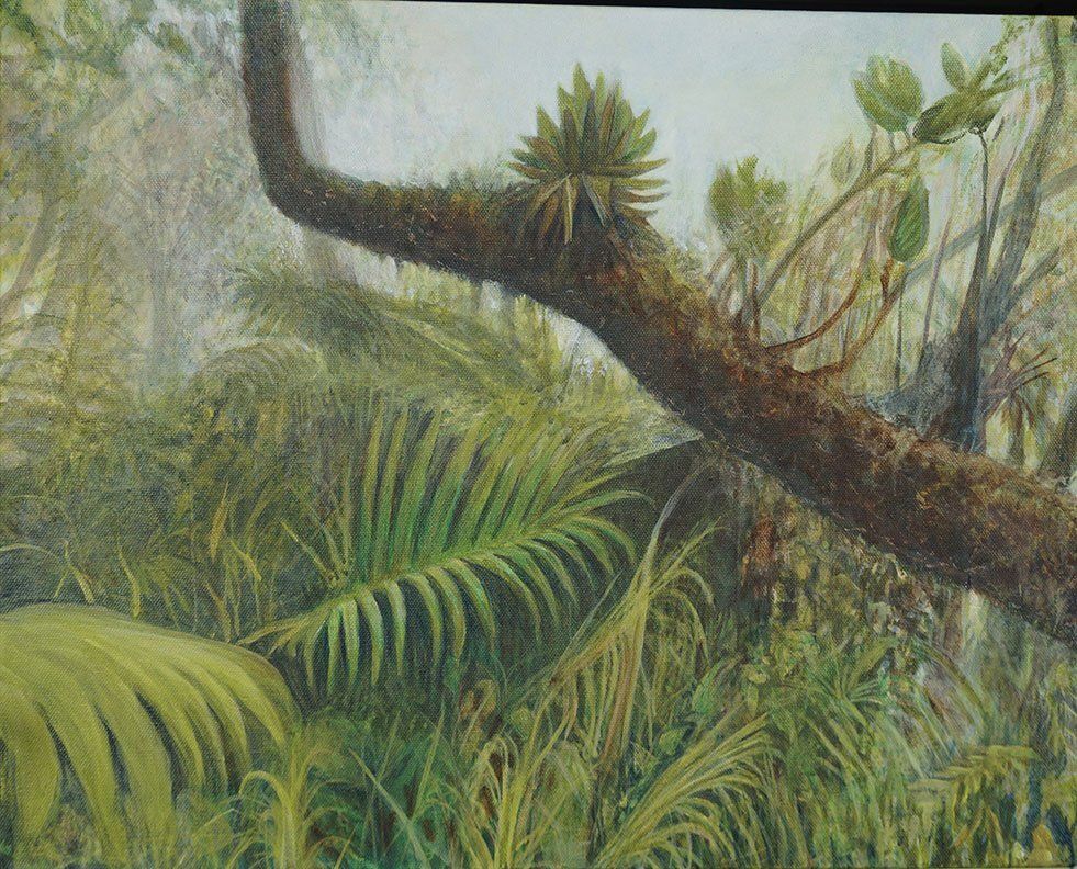 "Cloud Forest on Mount Scenery -Saba, Netherland Antilles " by Missie Stevenson