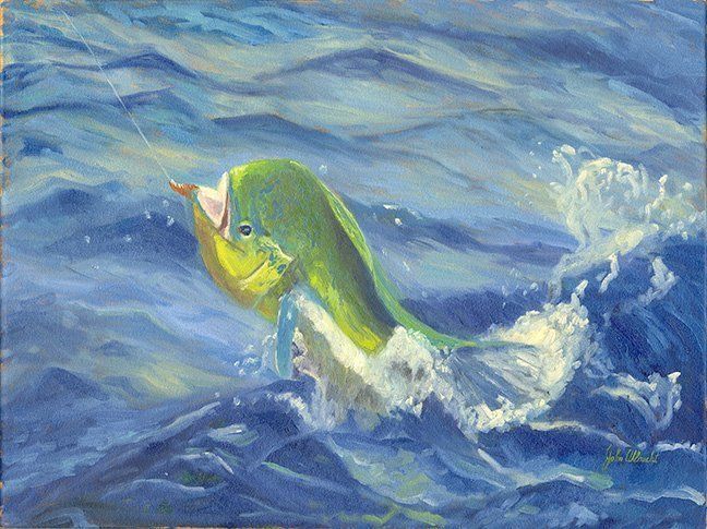 "Oh My Mahi" by John Albrecht