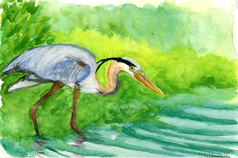 "Great Blue Heron" by Isaiah Scott