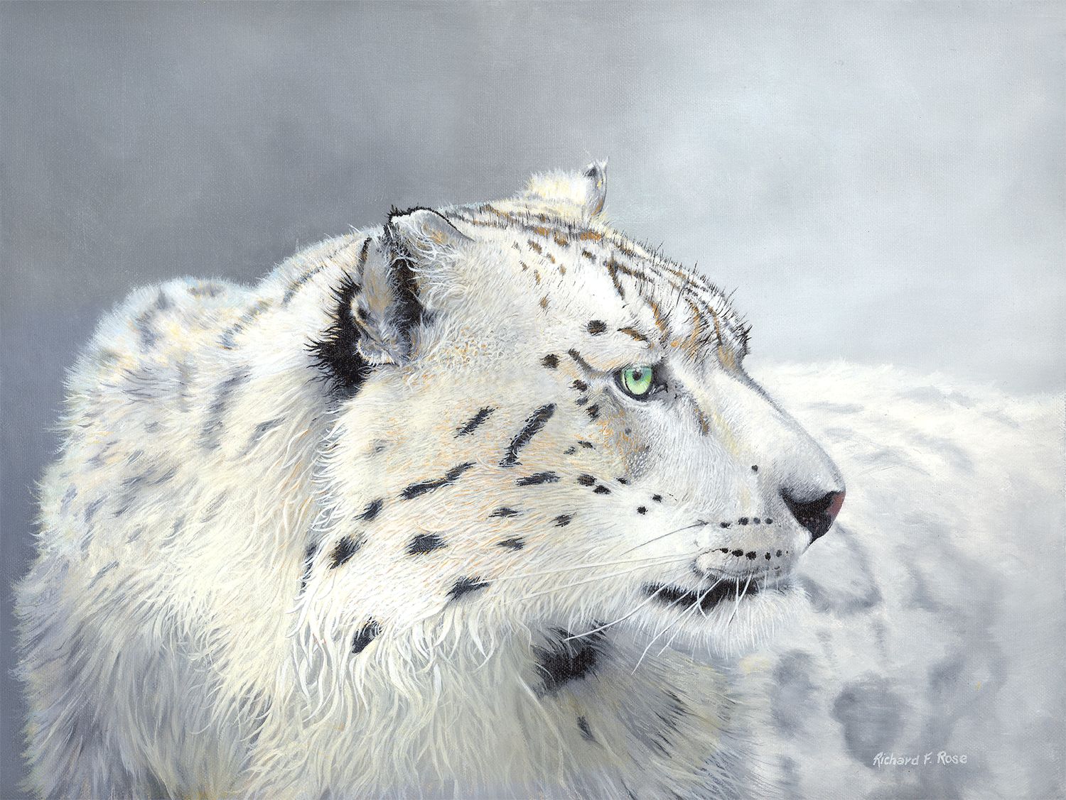 "Snow Leopard" by Richard F. Rose