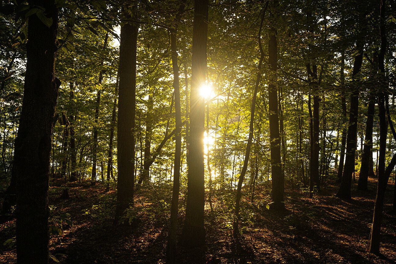 "Natural Wonder" by Owen Granata