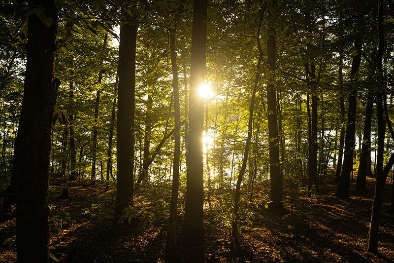 "Natural Wonder" by Owen Granata