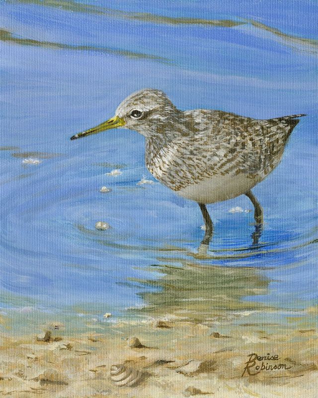 "Sanderling" by Denise Robinson
