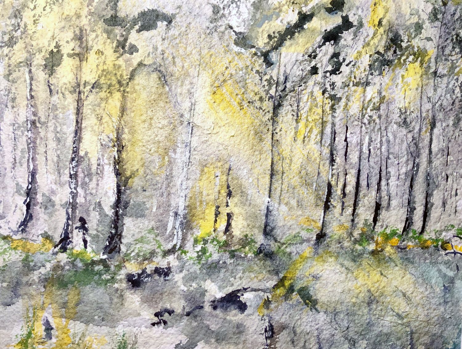 "Light Through The Forest"