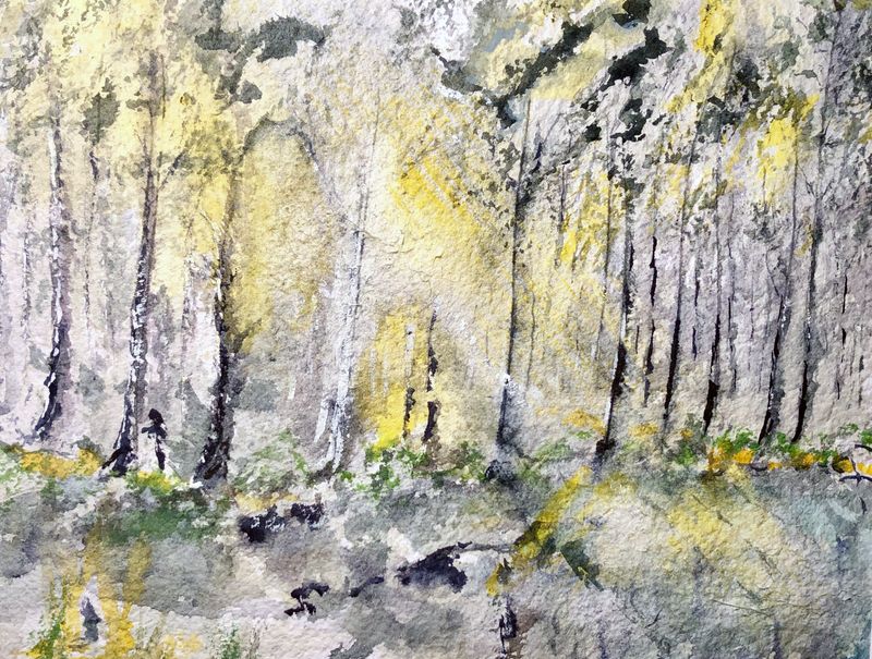 "Light Through The Forest"