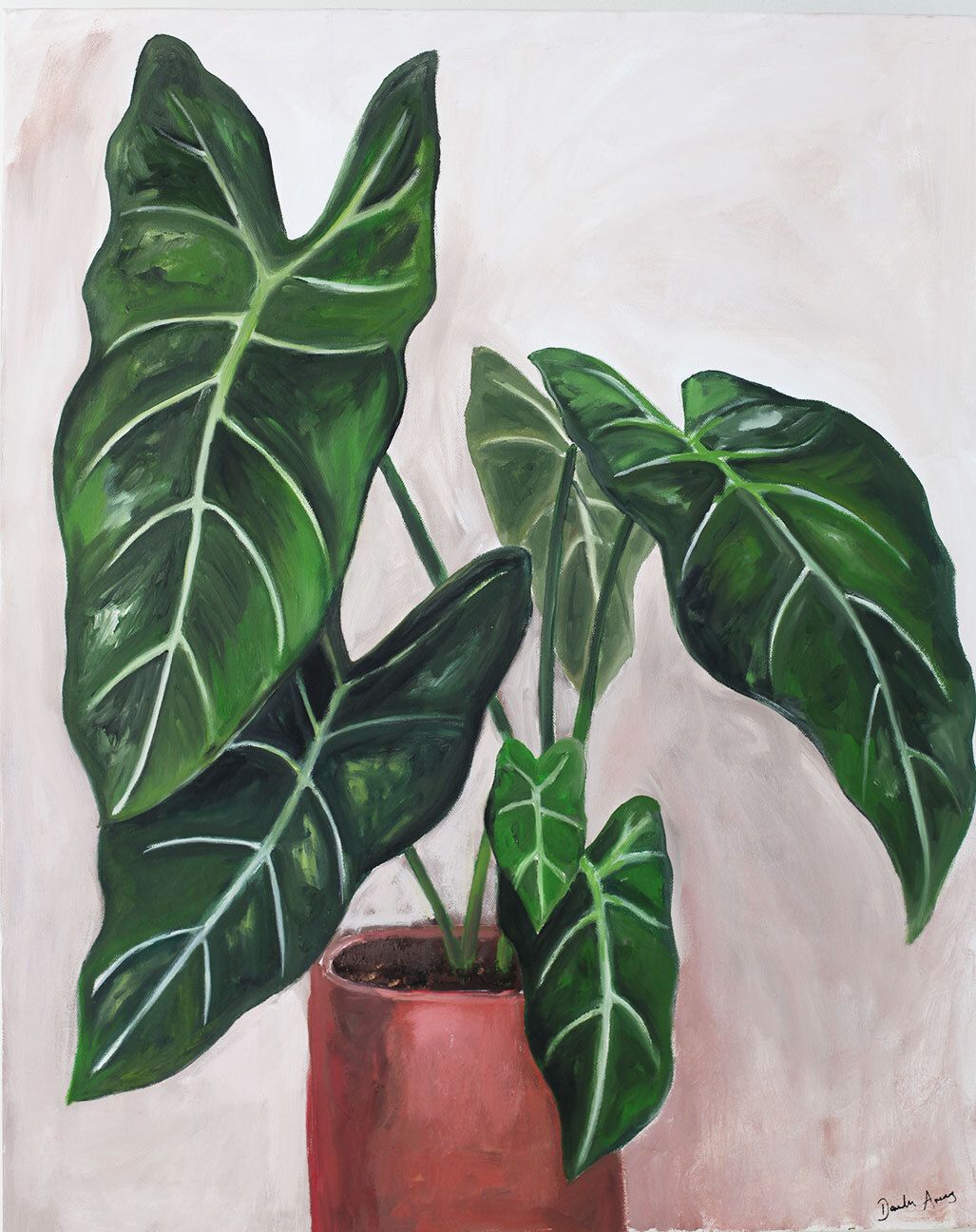 "Elephant Ears" by Daniela Arenas