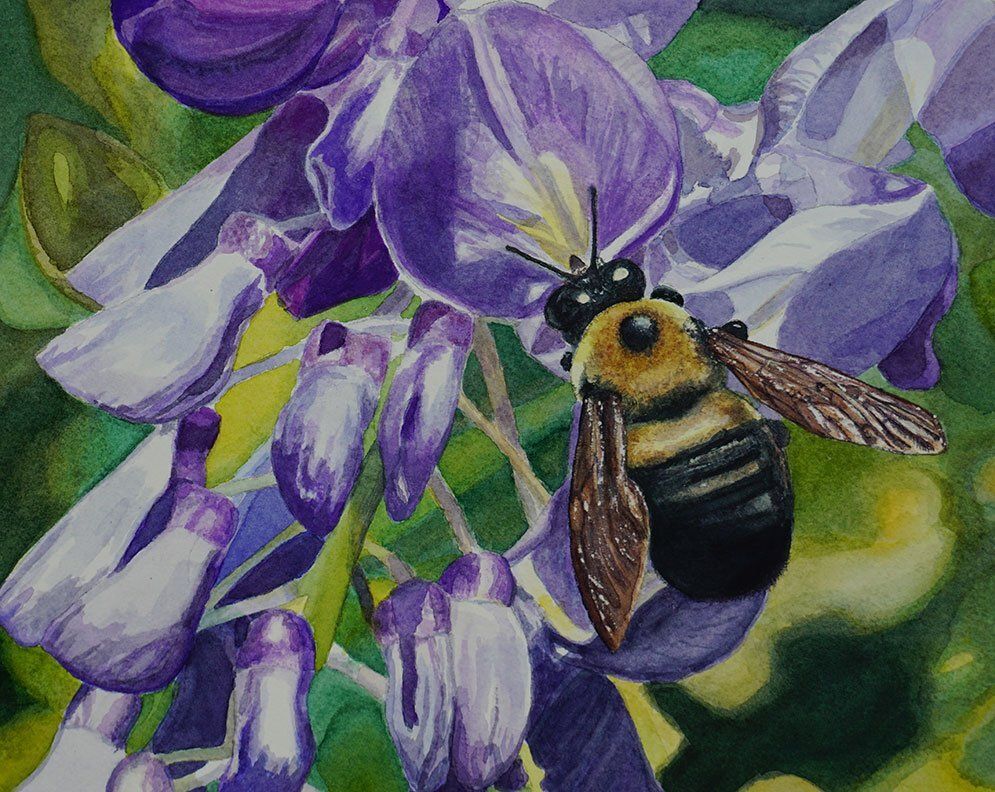 "Pollination" by Missie Stevenson