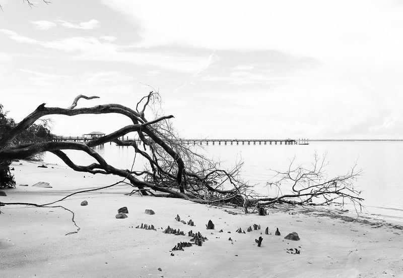 "St Helena Beach" by Spencer Evans