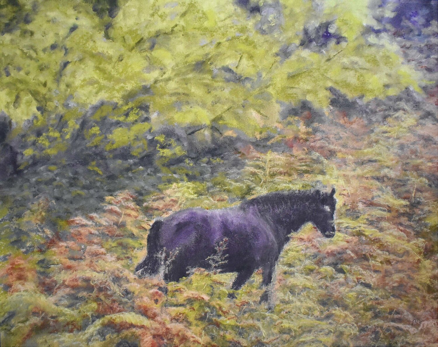 "Filly in the Ferns" by Sue Selvey