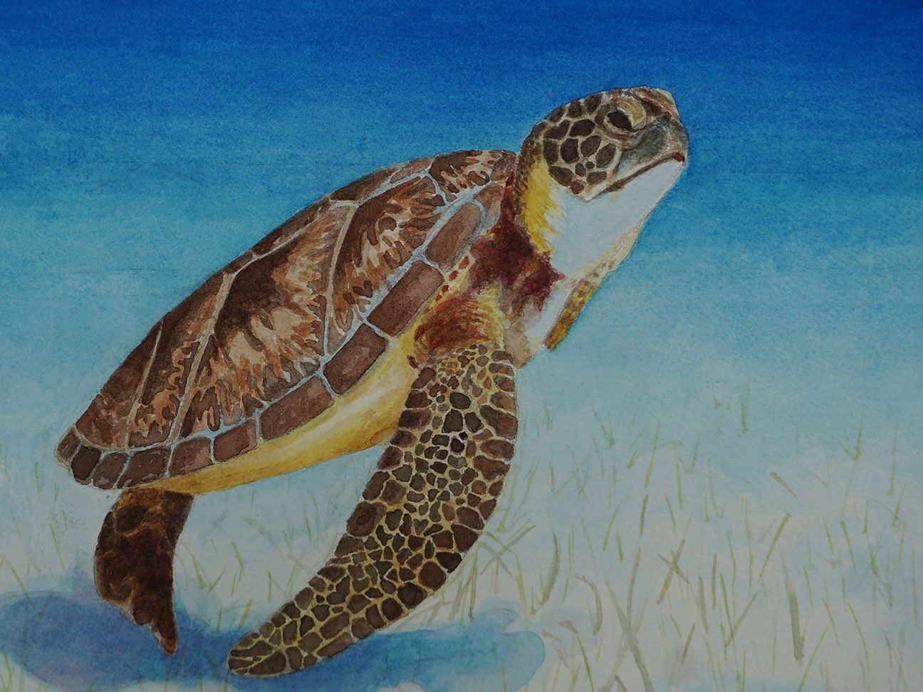 "Lunchtime Yet?" by Missie Stevenson