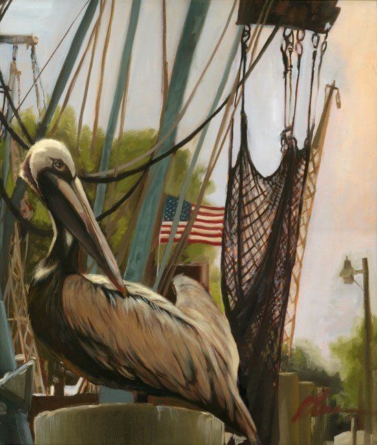 "Charleston Pelican" by Babs Tarr