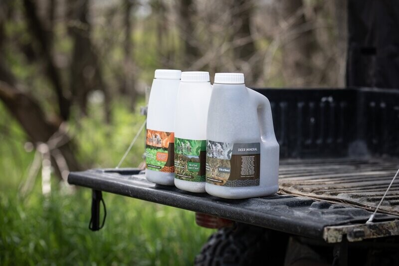 BENEFIT FALL PLOT BUNDLE