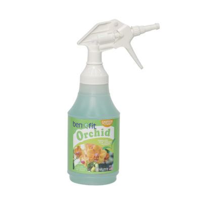 BENEFIT ORCHID FLOWERS