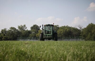 HAY/FEEDER