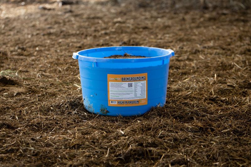 BENEFIT BACKGROUNDING TUB - BULK