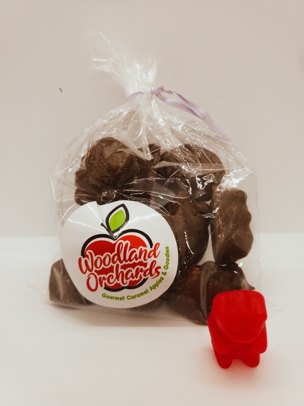 Milk Chocolate Dipped Cinnamon Bears (no caramel)