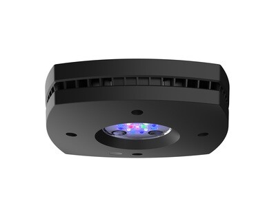 Prime 16HD Reef, Smart Reef LED (B/W)
