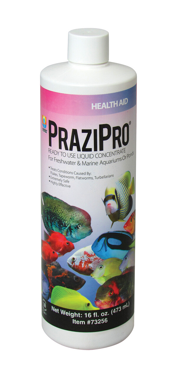 PraziPro Parasite Treatment, 16oz