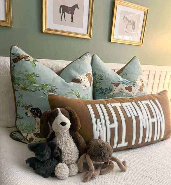 Schumacher Pointer 24” Sham With Welting