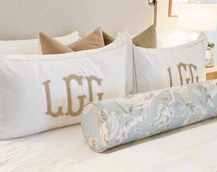 Beige Or Powder Blue velvet Euro Sham