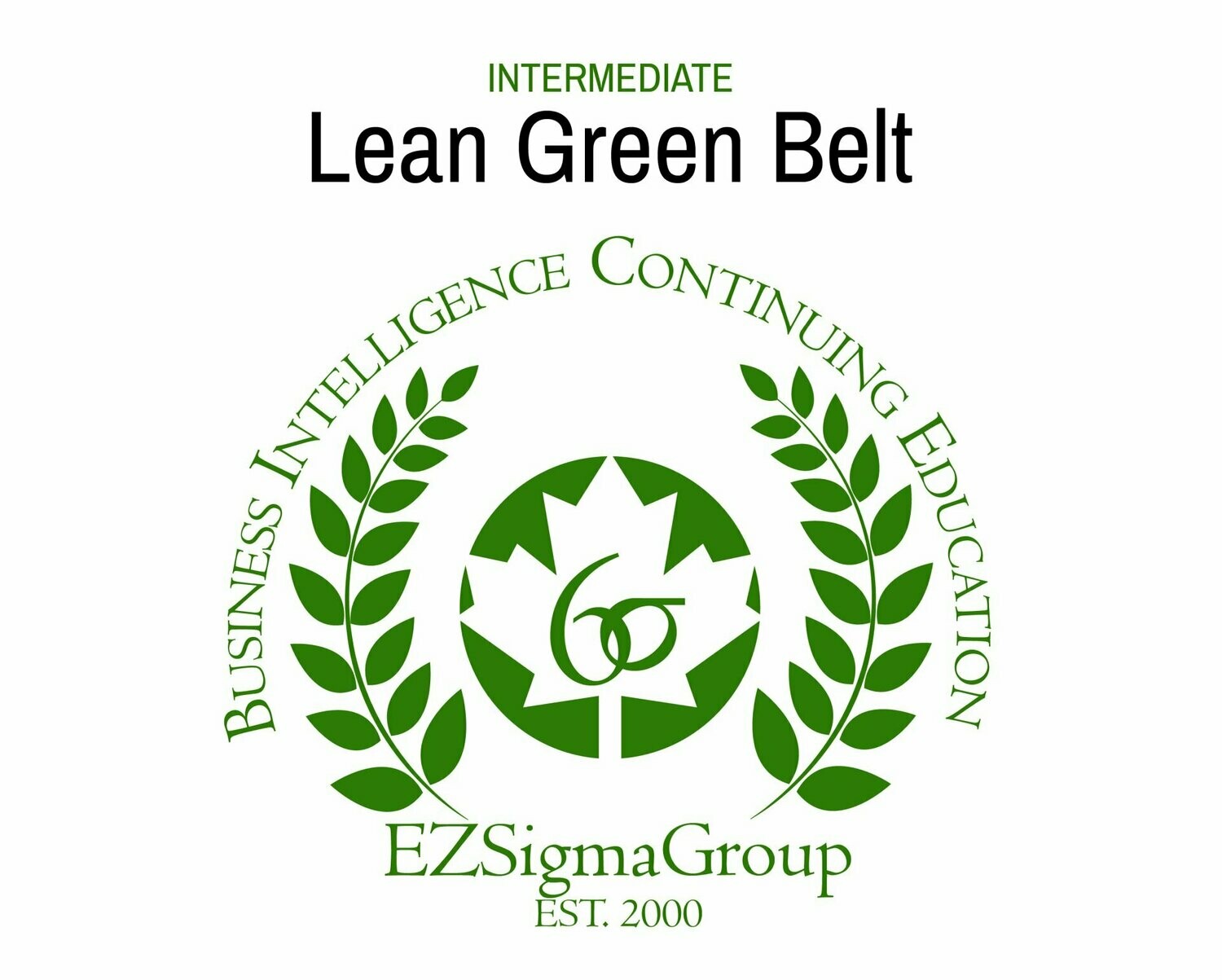 Lean Green Belt Certification Program