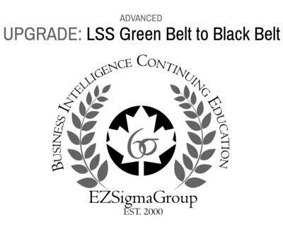 Lean Six Sigma Black Belt UPGRADE from Lean Six Sigma Green Belt