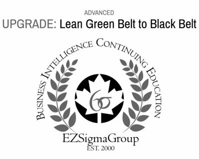 Lean Six Sigma Black Belt UPGRADE from Lean Green Belt