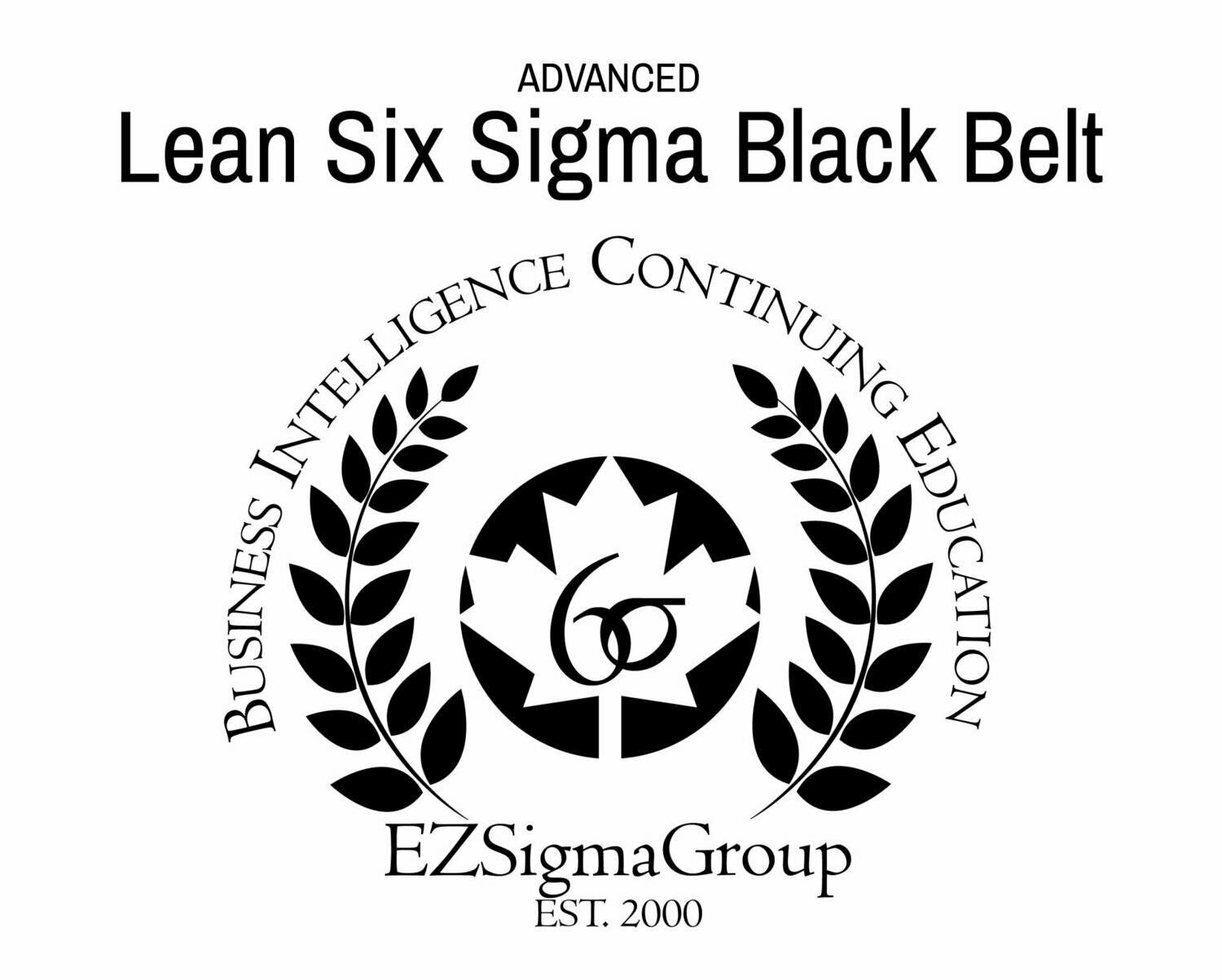 ONLINE: Lean Six Sigma Black Belt Certification Program
