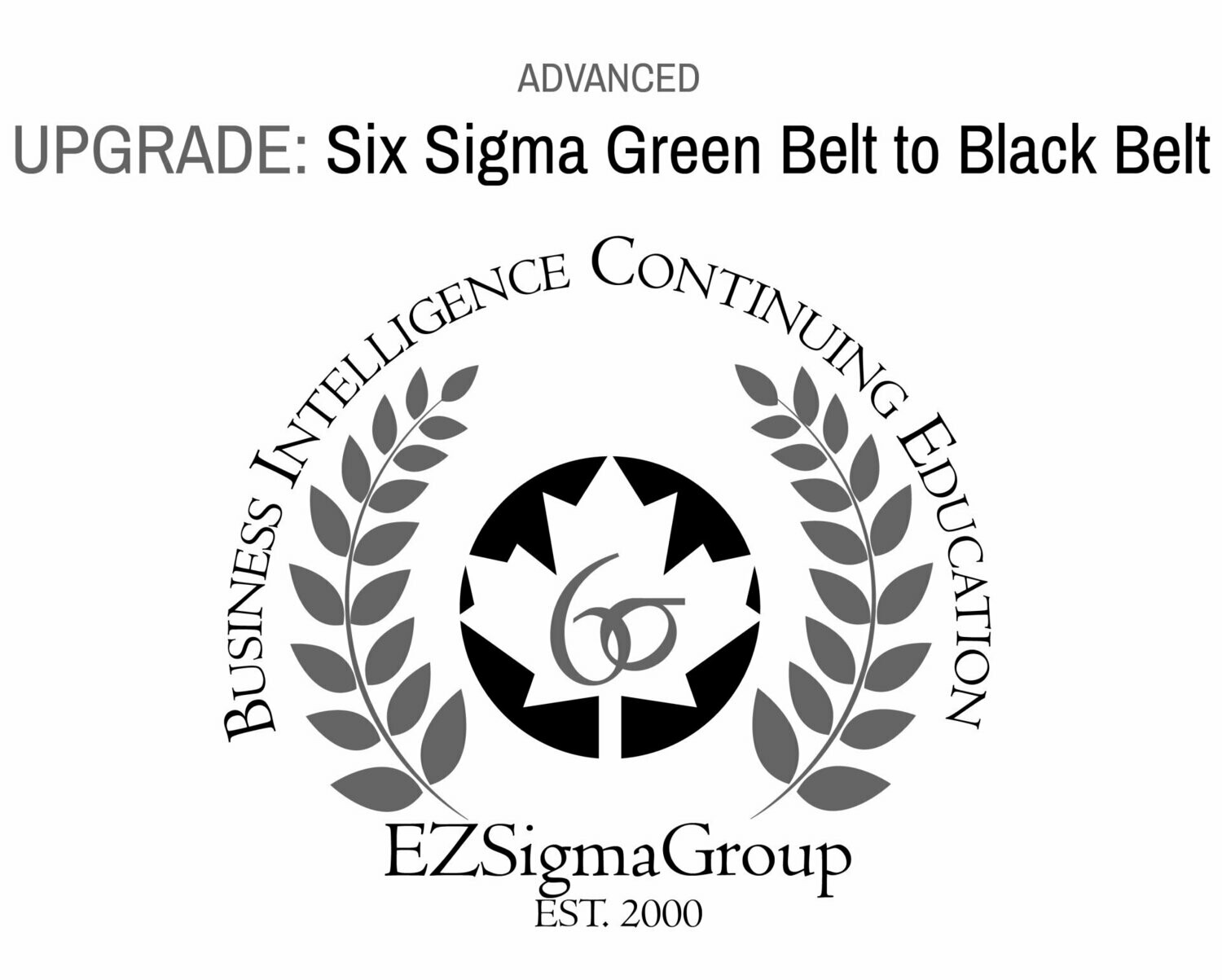 ONLINE: LSS Black Belt UPGRADE from Six Sigma Green Belt