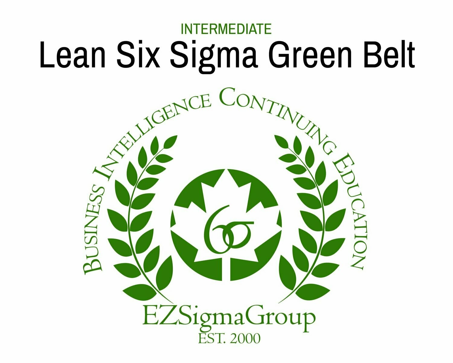 ONLINE: Lean Six Sigma Green Belt Program