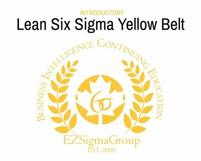 ONLINE: Lean Six Sigma Yellow Belt Program