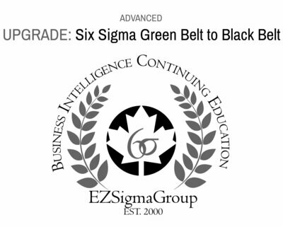 Lean Six Sigma Black Belt UPGRADE from Six Sigma Green Belt
