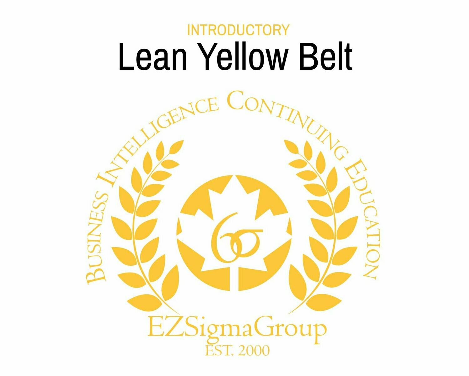 ONLINE: Lean Yellow Belt