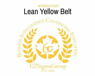 ONLINE: Lean Yellow Belt