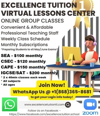 The Virtual Lessons Center (Monthly Subscription)
