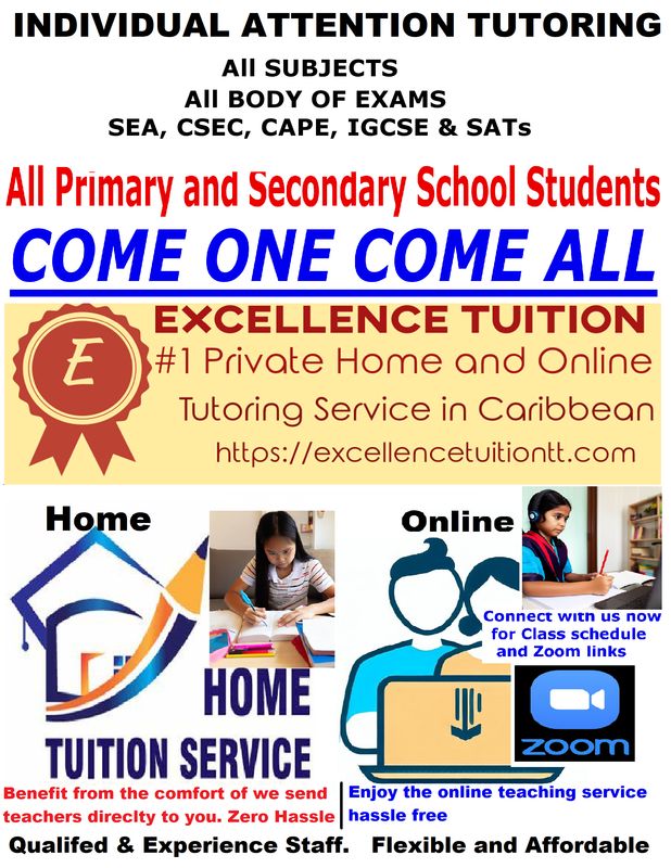 Individual Attention Tutoring (Home visits or Online)