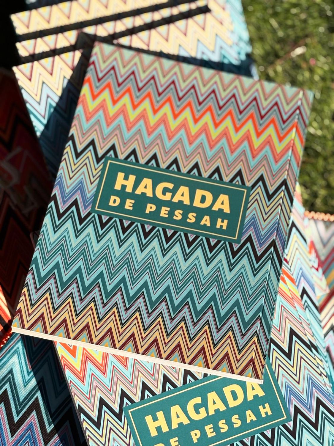 Hagada "ZIG ZAG BLEU"