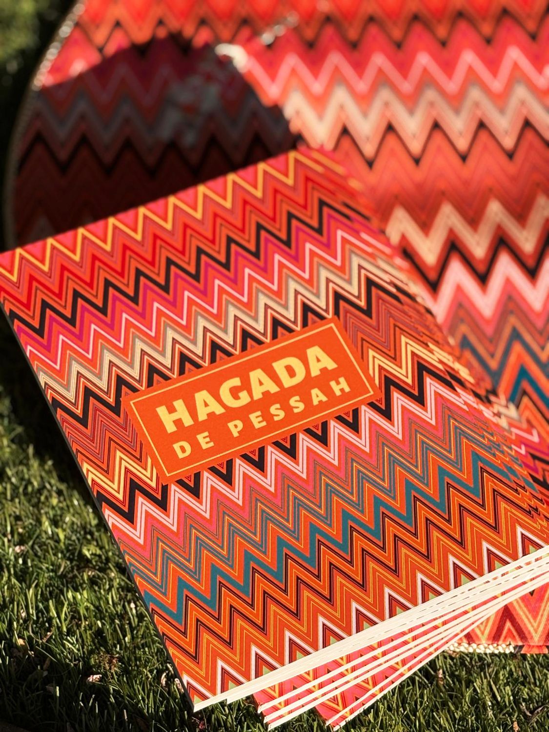 Hagada "ZIG ZAG ORANGE"