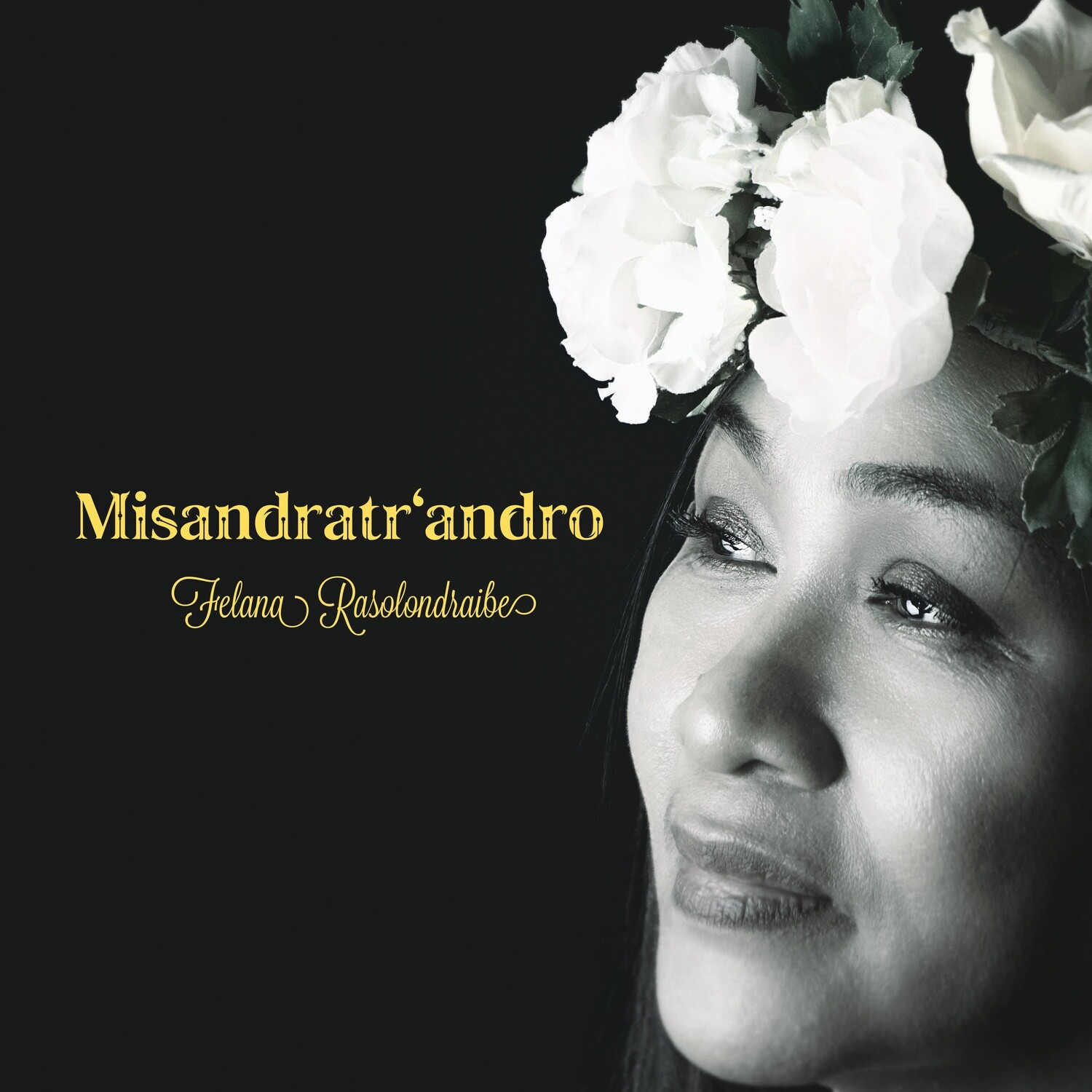 Misandratr&#39;andro - Digital