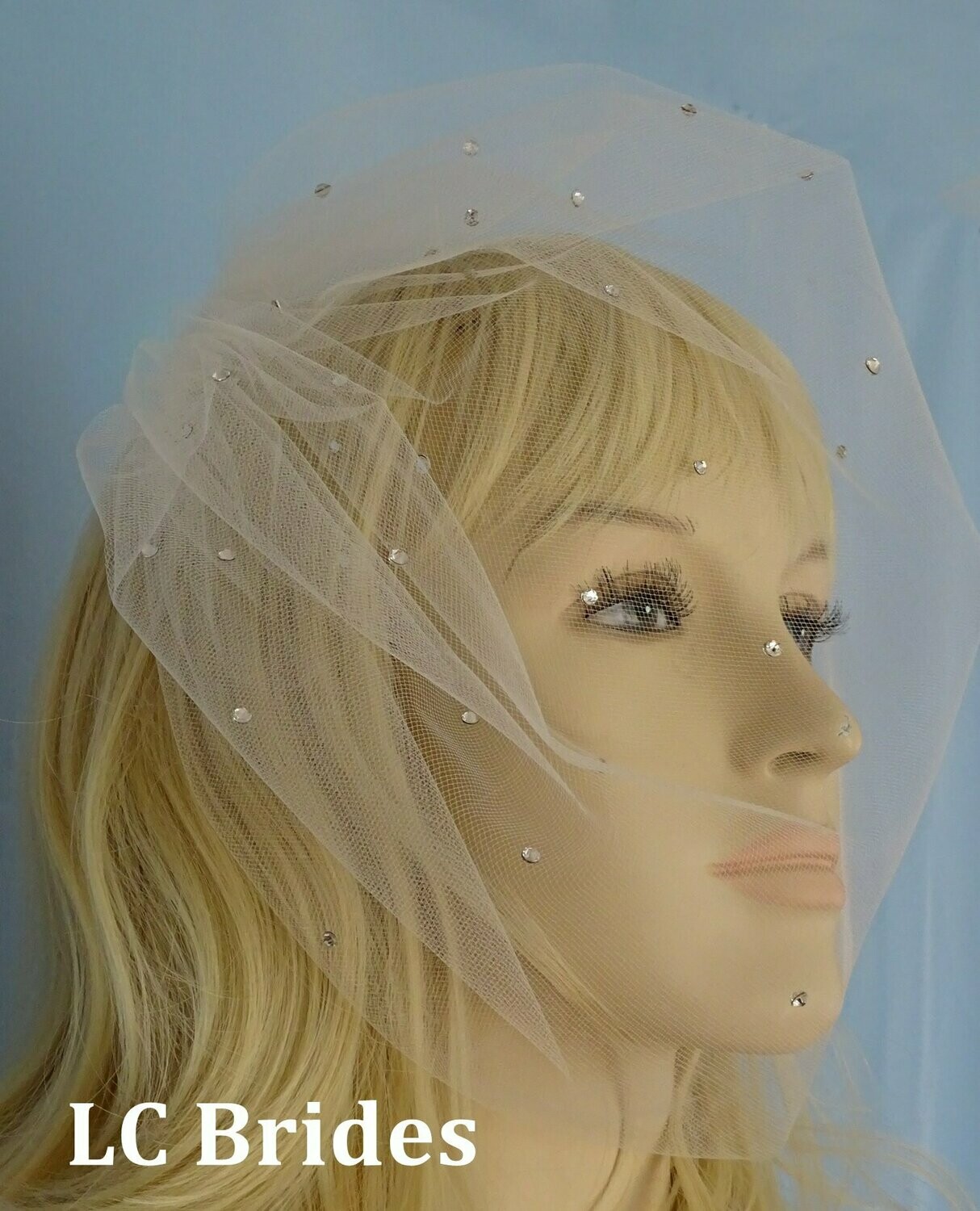 Sparkling Birdcage Wedding Veil with Scattered Crystals