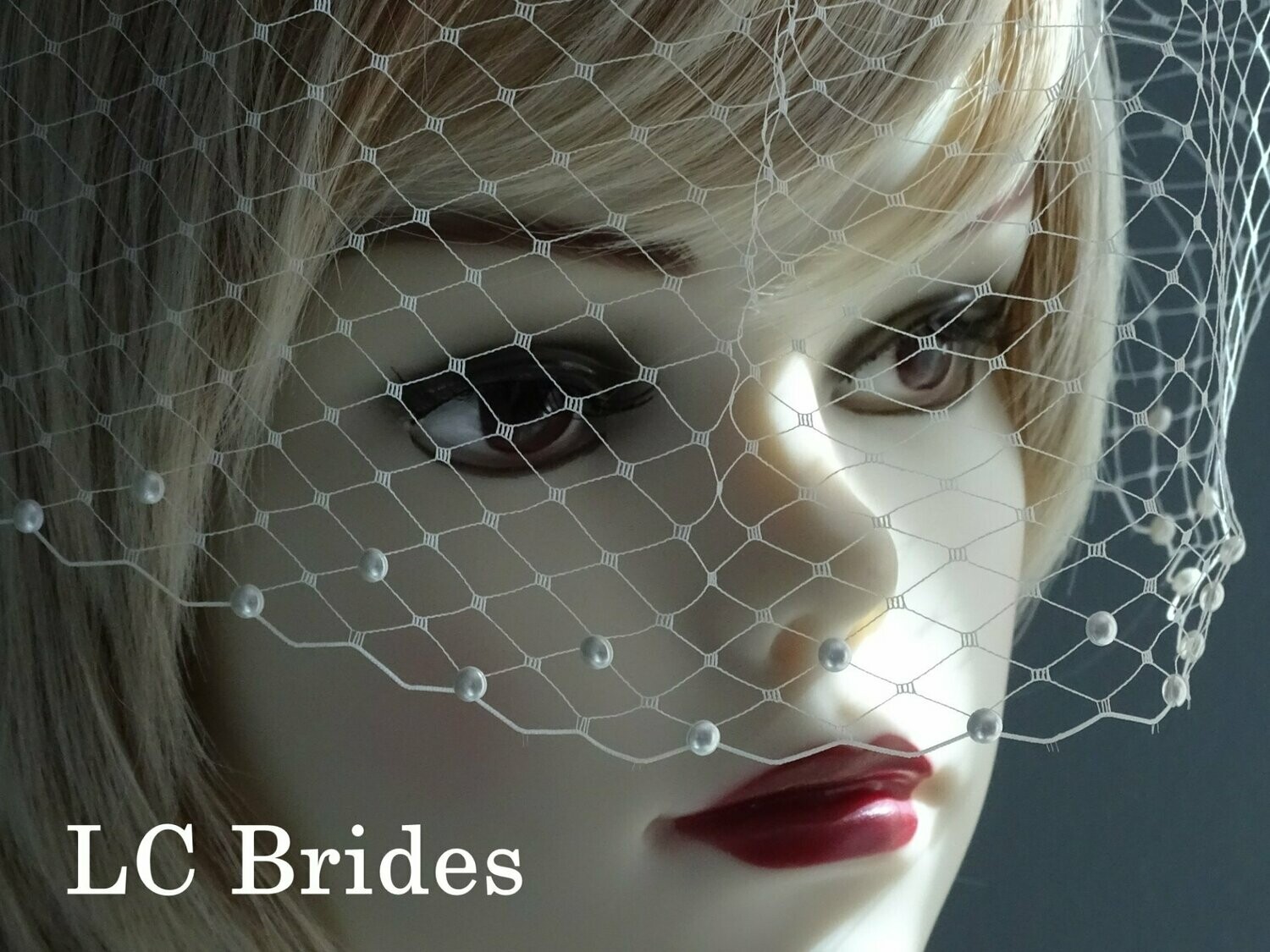 Birdcage Veil with Edged Swarovski Pearls