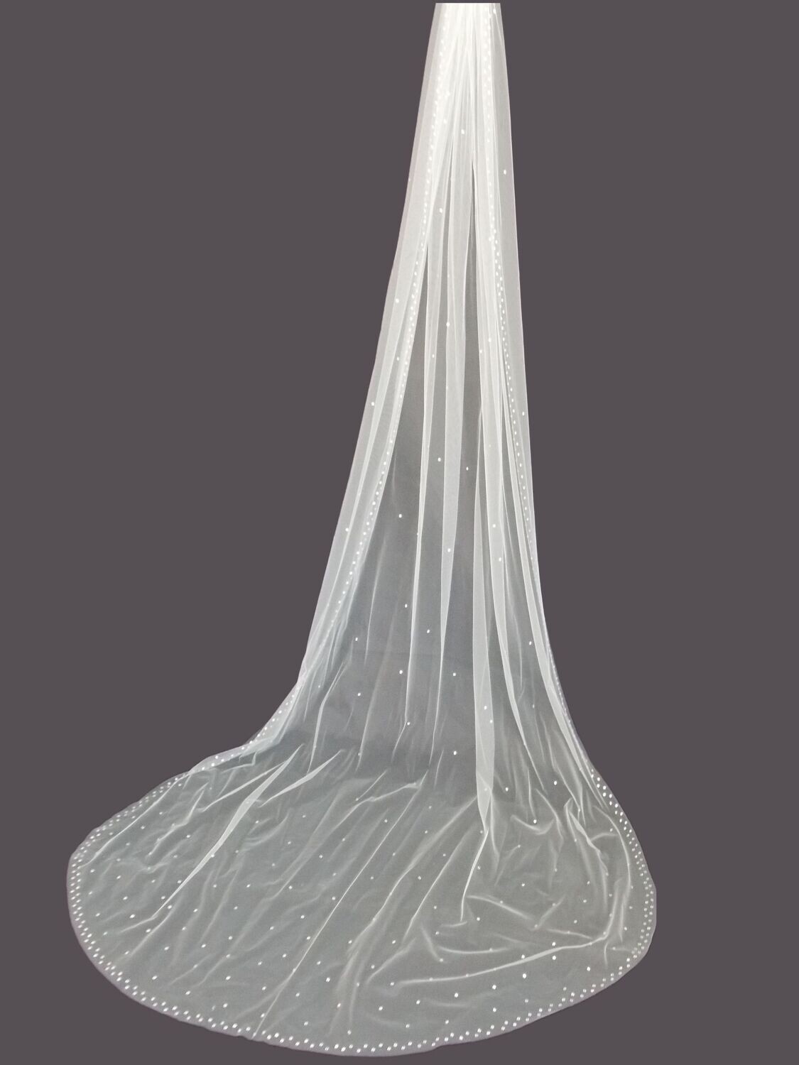 Cathedral Length Wedding Veil with Sparkling Crystals