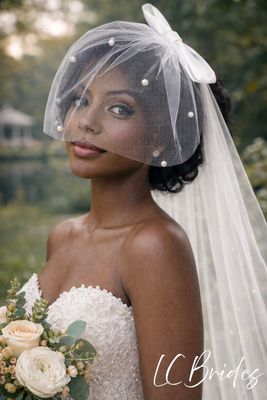 Birdcage Blusher Wedding Veil