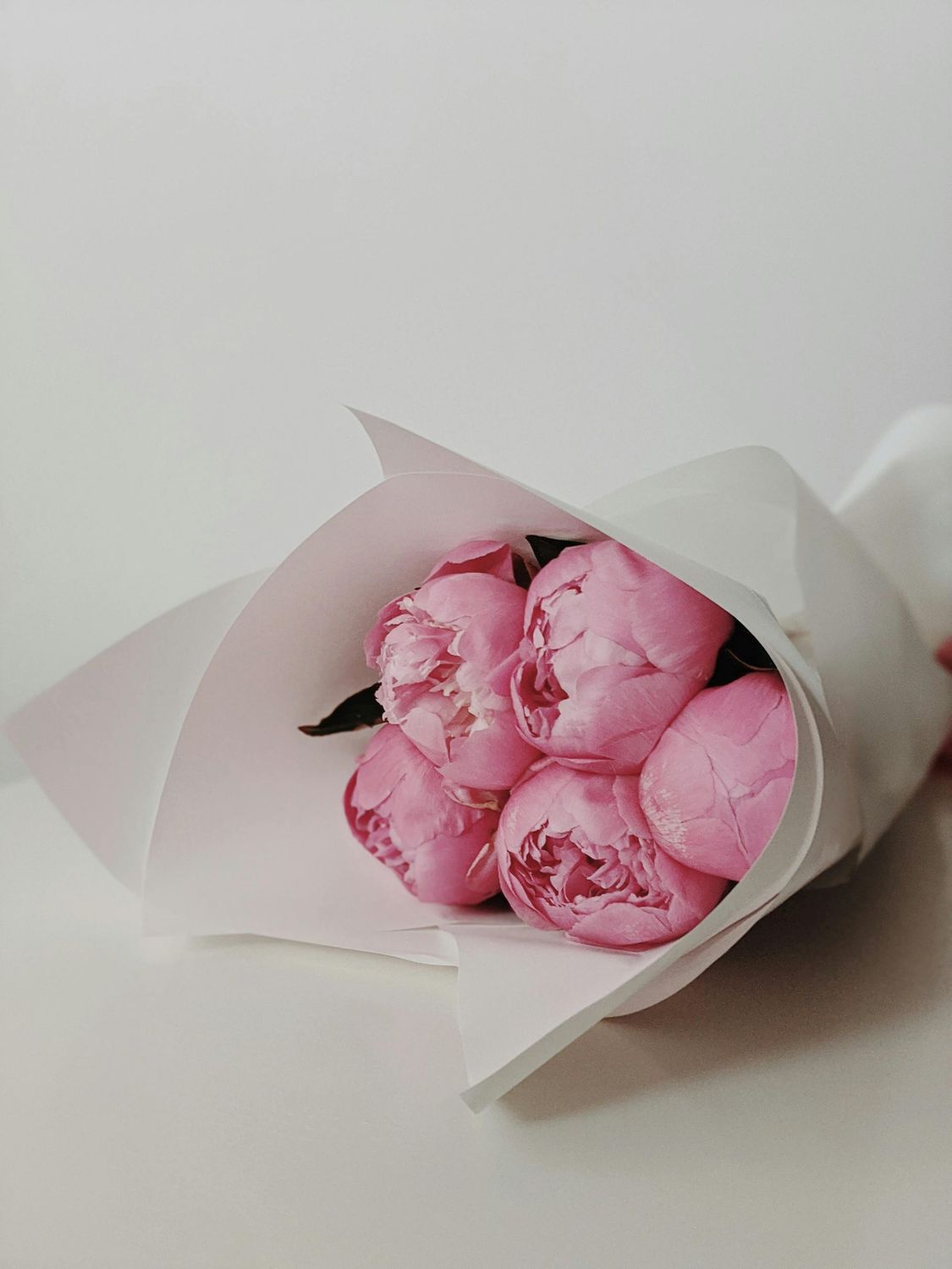 Blumen-Abo