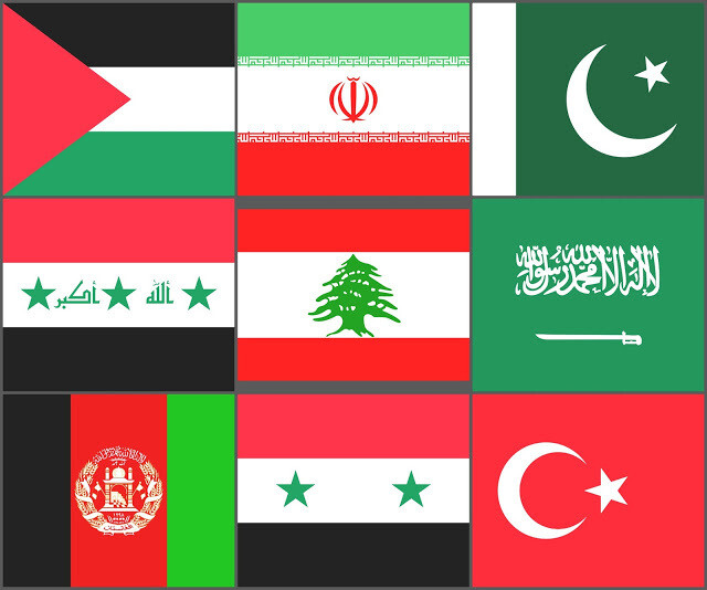1 Year IPTV Arabic Package Subscription