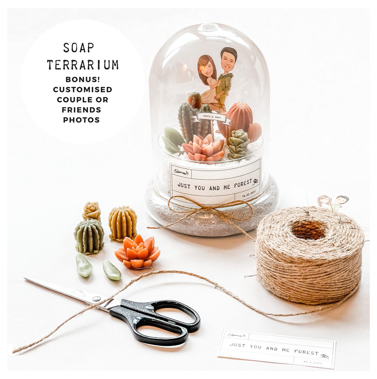 SOAP TERRARIUM