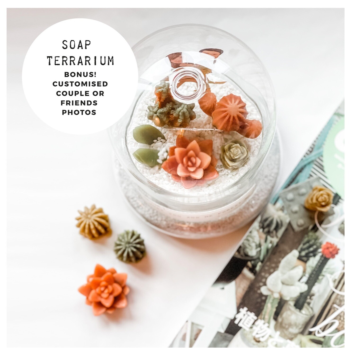 SOAP TERRARIUM