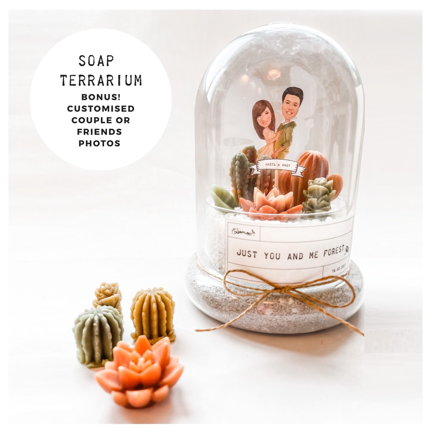 SOAP TERRARIUM