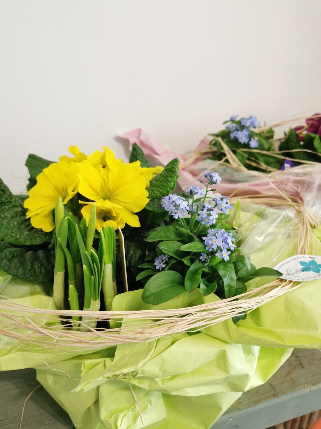 Frühlingsüberraschung