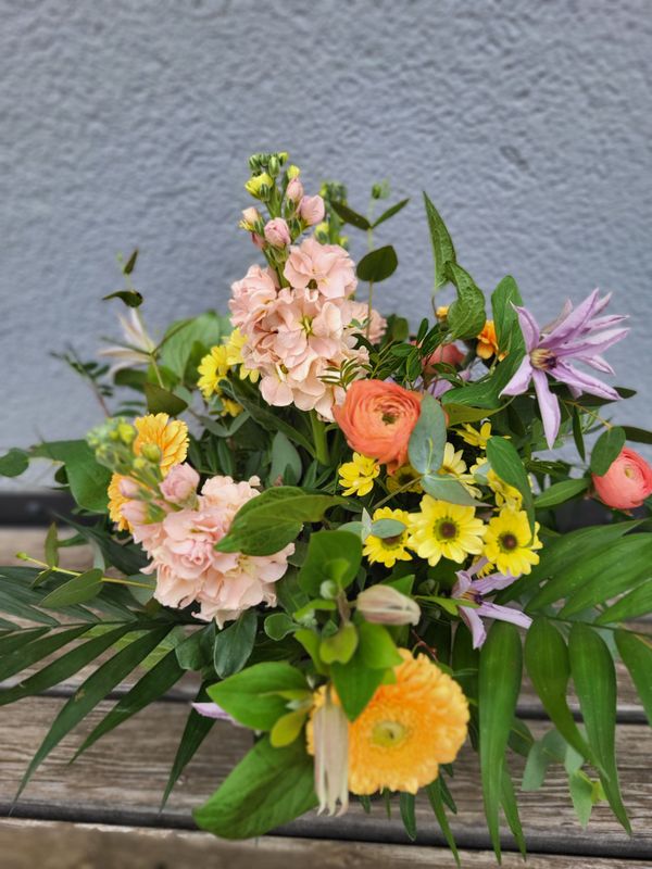 Jane liefern